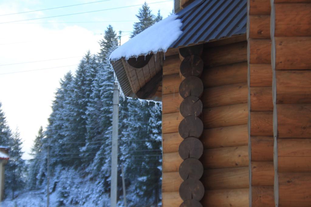 Sadyba Kazkove Dzherelo Verkhovyna Exterior photo