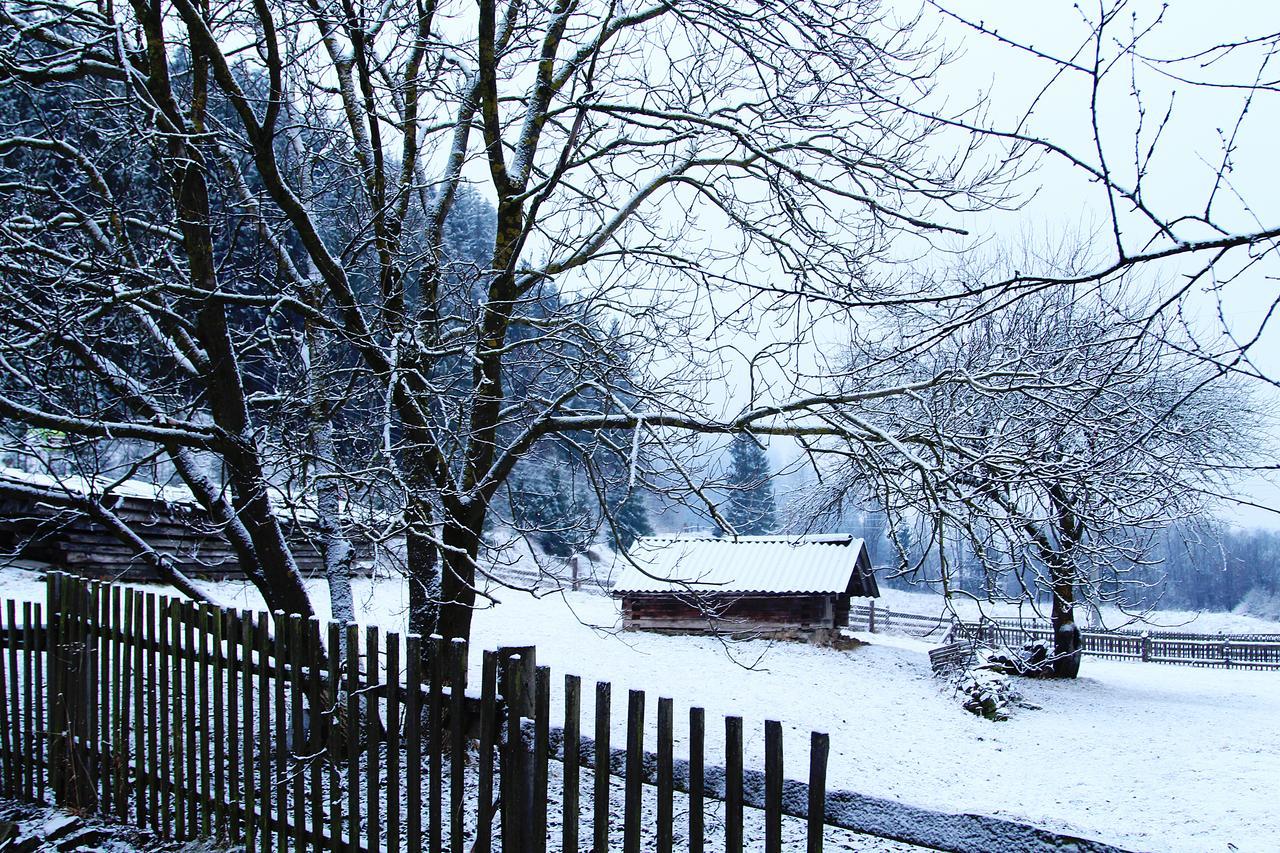 Sadyba Kazkove Dzherelo Verkhovyna Exterior photo